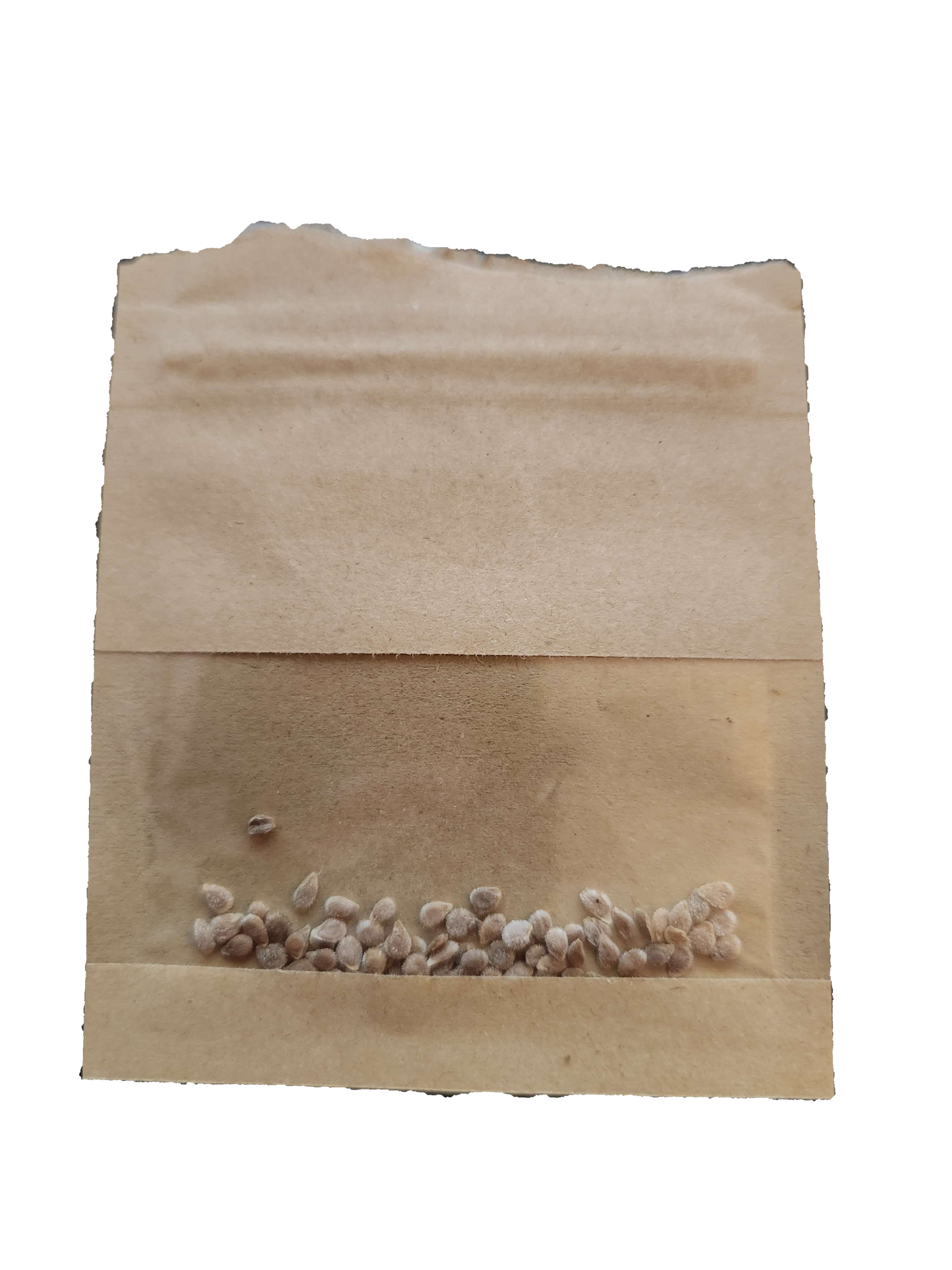 Heirloom Beefsteak tomato Seeds