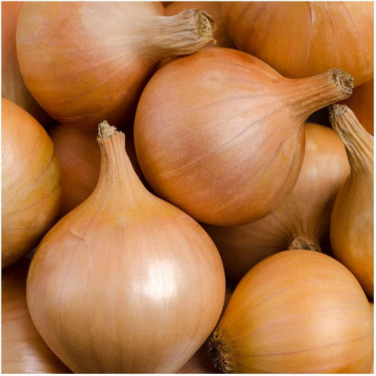 Yellow Sweet Spanish Onion