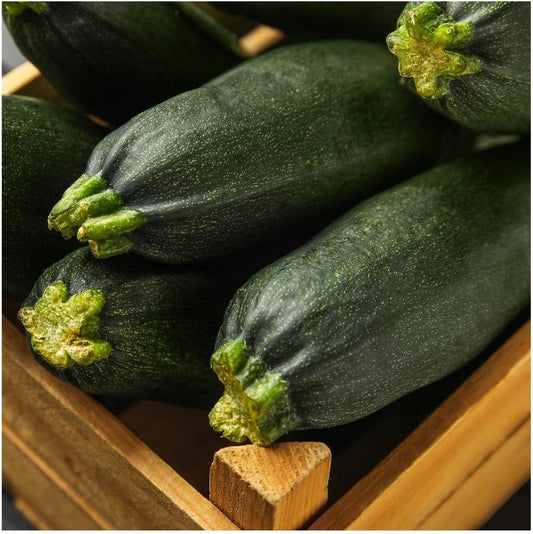 Organic Black Beauty Summer Squash
