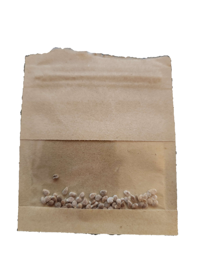 Heirloom Beefsteak tomato Seeds